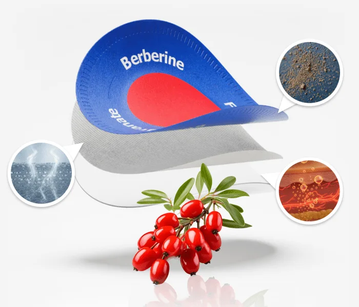 Purisaki Berberine Botanical Wellness Patch